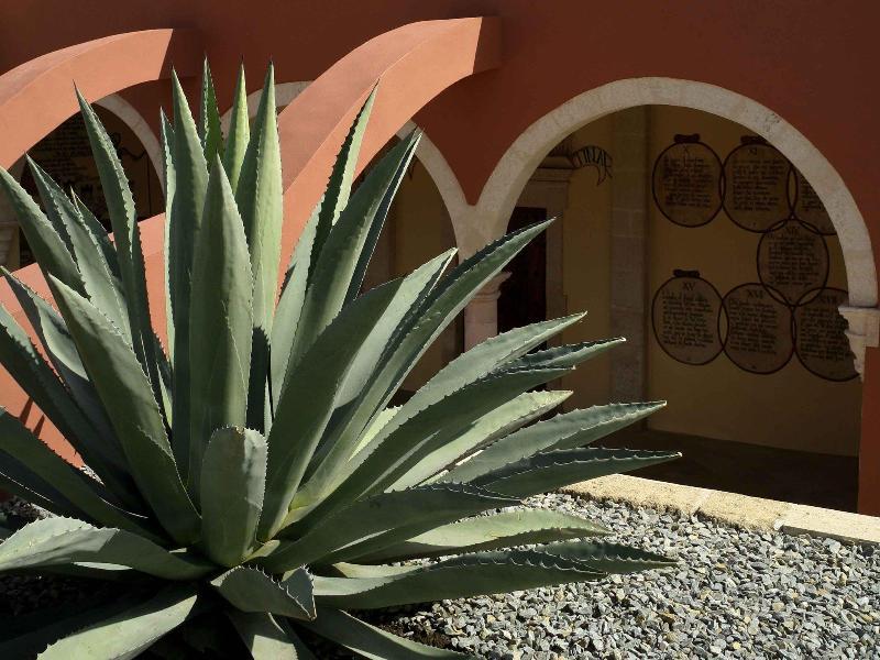 Ibis Aguascalientes Norte Екстериор снимка